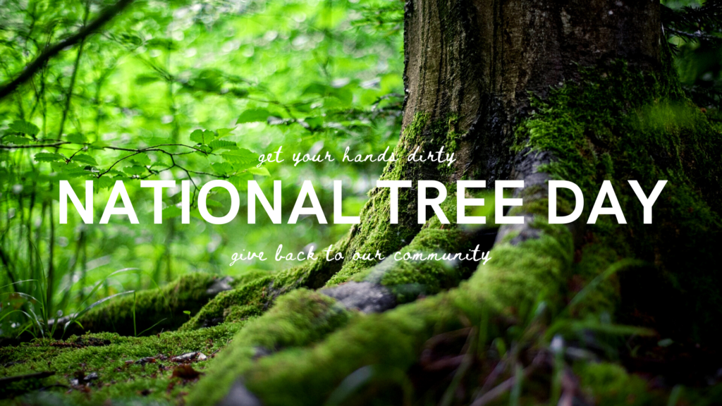 National Tree Day Sydney University Anthology